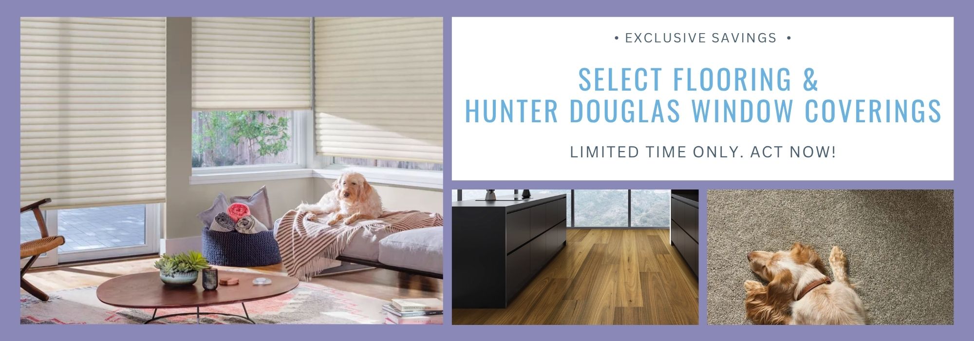 TSF website banners (2)